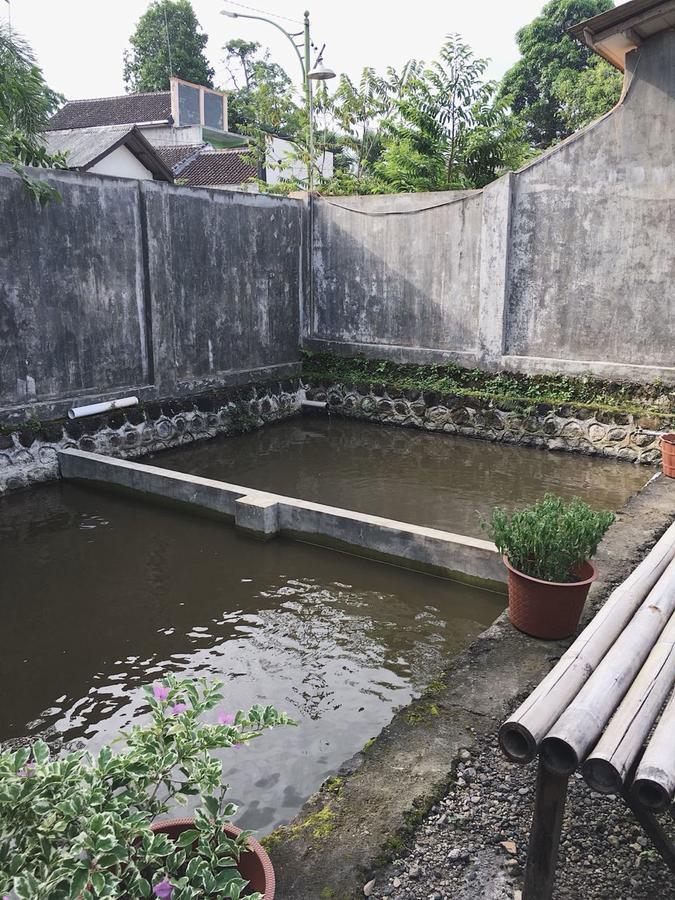犹太民宿 外南梦 外观 照片